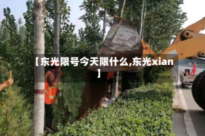 【东光限号今天限什么,东光xian】