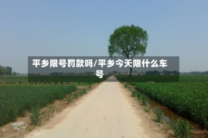 平乡限号罚款吗/平乡今天限什么车号