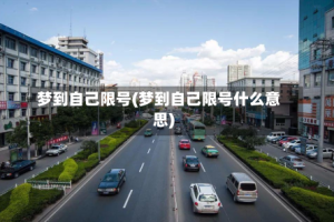 梦到自己限号(梦到自己限号什么意思)