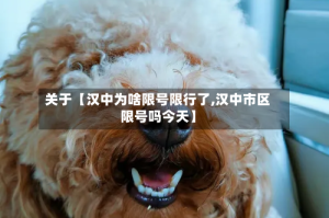 关于【汉中为啥限号限行了,汉中市区限号吗今天】