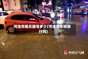 河池市明天限号多少(河池市车辆限行吗)