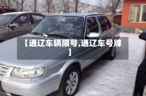 【通辽车辆限号,通辽车号牌】