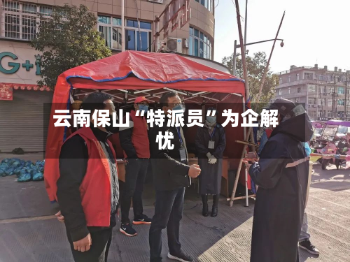 云南保山“特派员”为企解忧-第1张图片
