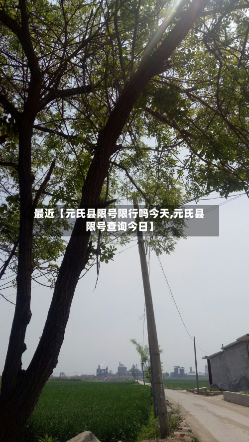 最近【元氏县限号限行吗今天,元氏县限号查询今日】-第1张图片