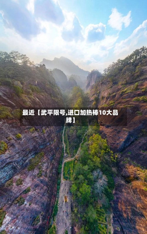 最近【武平限号,进口加热棒10大品牌】-第1张图片