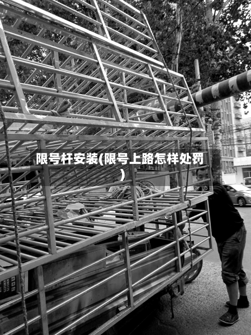 限号杆安装(限号上路怎样处罚)-第1张图片