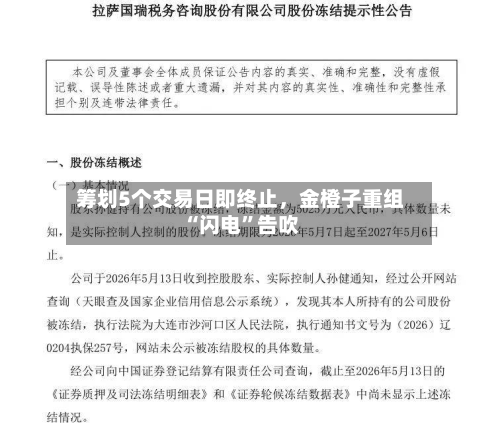 筹划5个交易日即终止	，金橙子重组“闪电”告吹-第2张图片