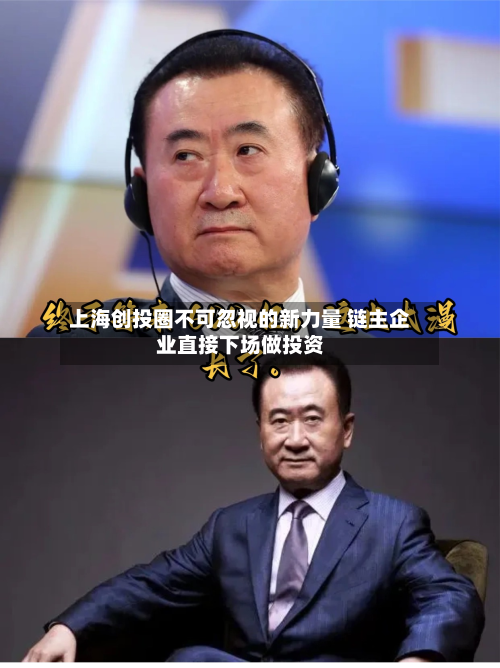 上海创投圈不可忽视的新力量 链主企业直接下场做投资-第1张图片