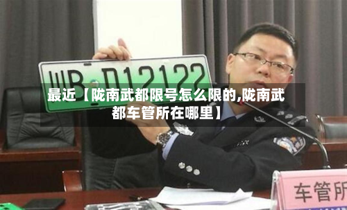 最近【陇南武都限号怎么限的,陇南武都车管所在哪里】-第2张图片