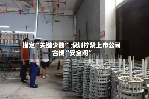 锚定“关键少数” 深圳拧紧上市公司合规“安全阀”-第3张图片