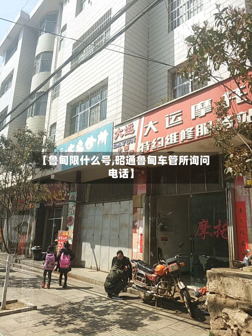 【鲁甸限什么号,昭通鲁甸车管所询问电话】-第1张图片