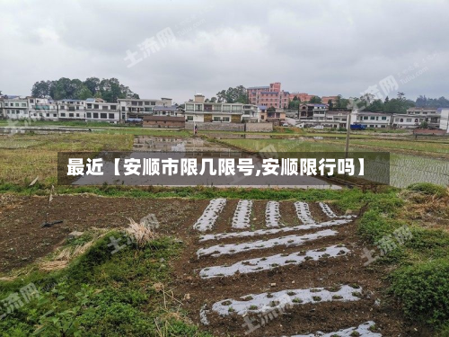 最近【安顺市限几限号,安顺限行吗】-第1张图片