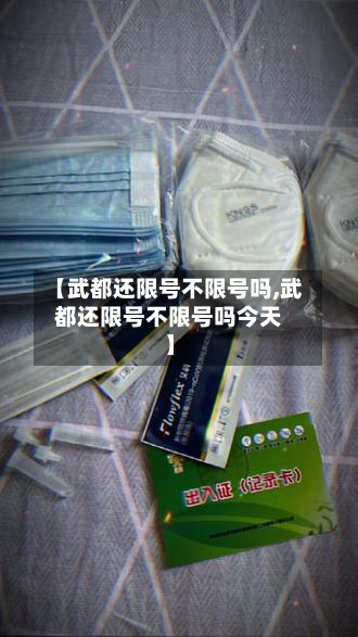 【武都还限号不限号吗,武都还限号不限号吗今天】-第3张图片