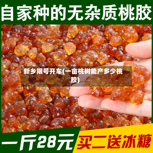 新乡限号开车(一亩桃树能产多少桃胶)-第2张图片