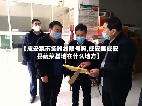 【成安菜市场路线限号吗,成安县成安县蔬菜基地在什么地方】-第1张图片