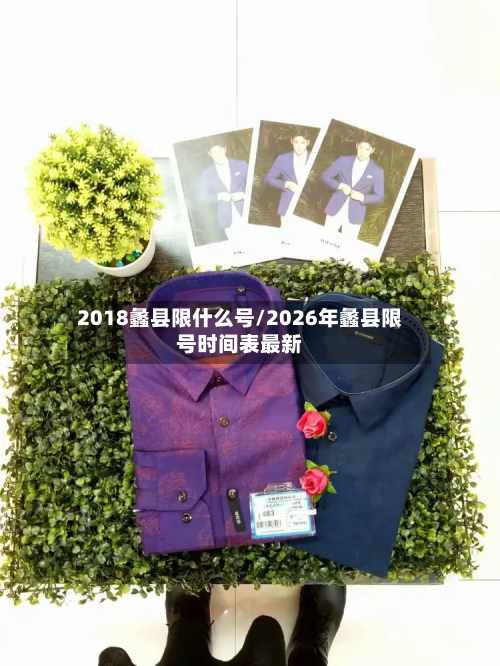 2018蠡县限什么号/2026年蠡县限号时间表最新-第1张图片