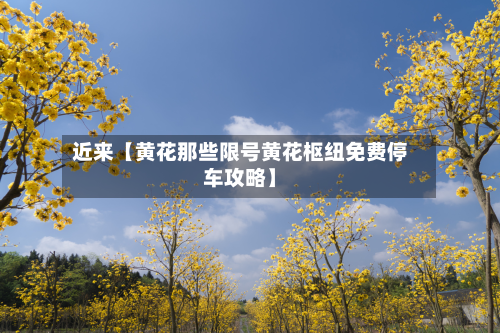 近来【黄花那些限号黄花枢纽免费停车攻略】-第2张图片