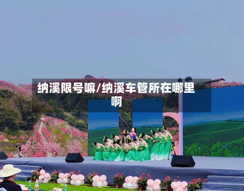 纳溪限号嘛/纳溪车管所在哪里啊-第1张图片