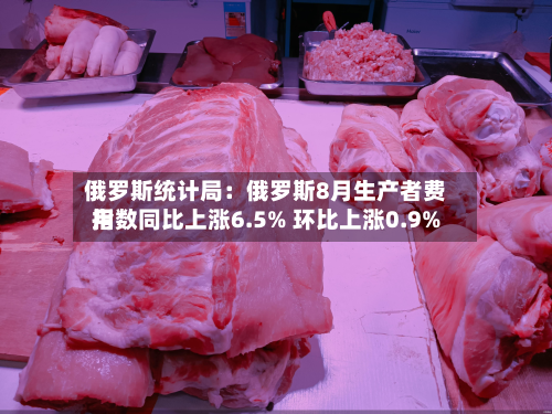 俄罗斯统计局：俄罗斯8月生产者费用指数同比上涨6.5% 环比上涨0.9%-第1张图片