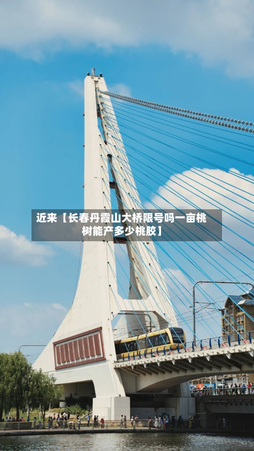 近来【长春丹霞山大桥限号吗一亩桃树能产多少桃胶】-第2张图片