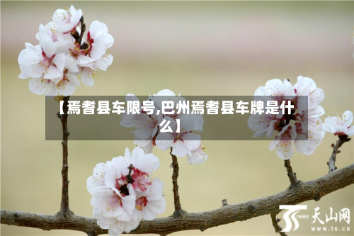【焉耆县车限号,巴州焉耆县车牌是什么】-第1张图片