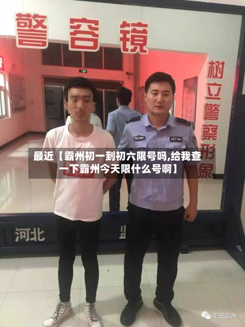 最近【霸州初一到初六限号吗,给我查一下霸州今天限什么号啊】-第3张图片