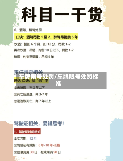 车牌限号处罚/车牌限号处罚标准-第3张图片