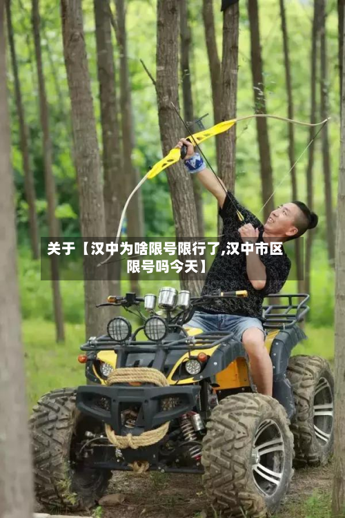关于【汉中为啥限号限行了,汉中市区限号吗今天】-第3张图片