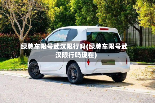 绿牌车限号武汉限行吗(绿牌车限号武汉限行吗现在)-第1张图片