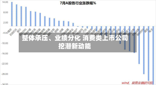 整体承压、业绩分化 消费类上市公司挖潜新动能-第1张图片