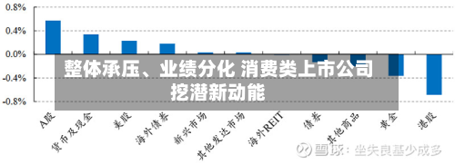 整体承压、业绩分化 消费类上市公司挖潜新动能-第2张图片
