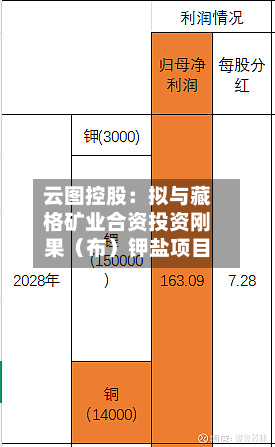 云图控股：拟与藏格矿业合资投资刚果（布）钾盐项目-第1张图片